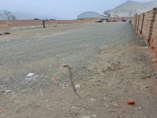 Foto 5 de ¡Gran Oportunidad De Inversión En Papa León Chilca!