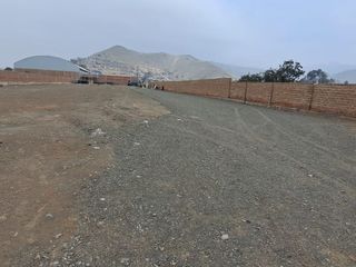 Foto 6 de ¡Gran Oportunidad De Inversión En Papa León Chilca!
