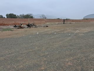 Foto 7 de ¡Gran Oportunidad De Inversión En Papa León Chilca!