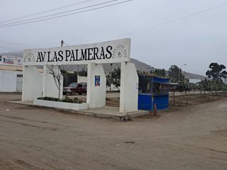 Foto 8 de ¡Gran Oportunidad De Inversión En Papa León Chilca!