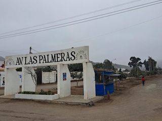 Foto 9 de ¡Gran Oportunidad De Inversión En Papa León Chilca!