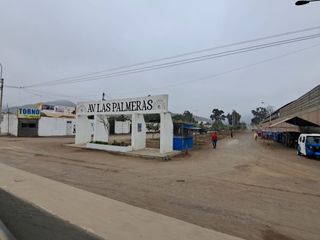 Foto 10 de ¡Gran Oportunidad De Inversión En Papa León Chilca!