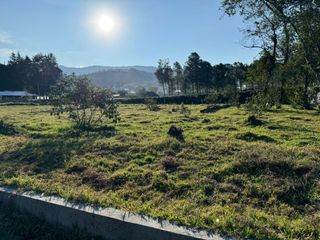 Foto 1 de TERRENO RESIDENCIAL LA PRIMAVERA 600m