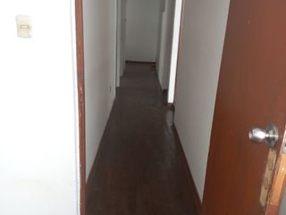 Foto 7 de Alquilo Local Comercial Remodelado - Comercio Zonal - Av Canada cdra 39 S/ 4,500 primer piso - precio negociable