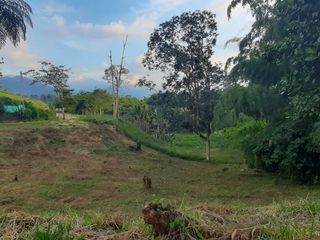 Foto 2 de VENTA DE LOTE CAMPESTRE EN CIRCASIA QUINDIO