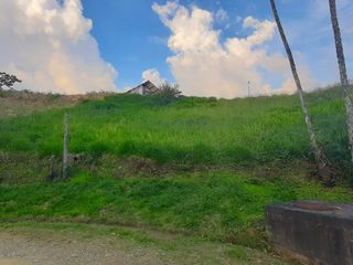 Foto 4 de VENTA DE LOTE CAMPESTRE EN CIRCASIA QUINDIO