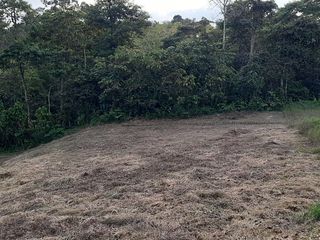 Foto 5 de VENTA DE LOTE CAMPESTRE EN CIRCASIA QUINDIO