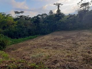 Foto 6 de VENTA DE LOTE CAMPESTRE EN CIRCASIA QUINDIO