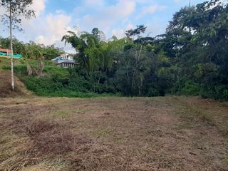 Foto 8 de VENTA DE LOTE CAMPESTRE EN CIRCASIA QUINDIO