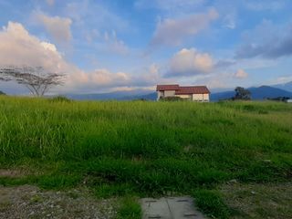 Foto 10 de VENTA DE LOTE CAMPESTRE EN CIRCASIA QUINDIO
