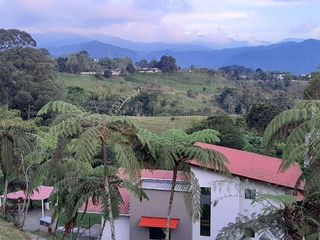Foto 14 de VENTA DE LOTE CAMPESTRE EN CIRCASIA QUINDIO