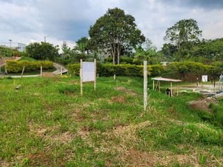Foto 16 de VENTA DE LOTE CAMPESTRE EN CIRCASIA QUINDIO