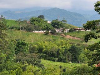 Foto 20 de VENTA DE LOTE CAMPESTRE EN CIRCASIA QUINDIO