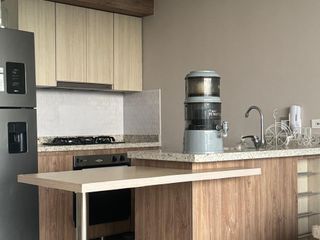 Foto 10 de ESPECTACULAR APARTAMENTO EN PANCE