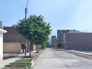 Foto 3 de VENTA TERRENO EN LA ARBOLEDA CARABAYLLO