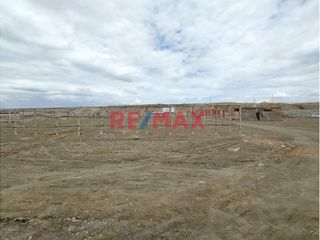 Foto 1 de Se Vende Terreno De 300M2 En Calle Las Gardenias Lado Norte- La Esmeralda De Colan // ID: 1129366