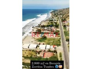 Foto 5 de 