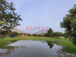 Foto 3 de Venta De Terreno En Campiña De Moche - Carr. A Huacas Del Sol Y La Luna / 11,916 M2 / $200 X M2