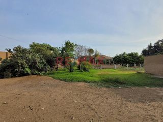 Foto 12 de Venta De Terreno En Campiña De Moche - Carr. A Huacas Del Sol Y La Luna / 11,916 M2 / $200 X M2