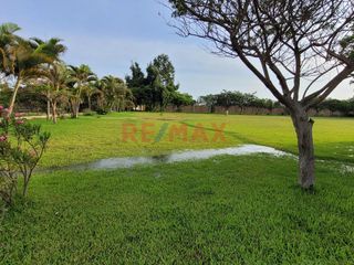 Foto 16 de Venta De Terreno En Campiña De Moche - Carr. A Huacas Del Sol Y La Luna / 11,916 M2 / $200 X M2