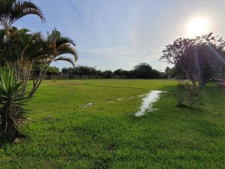 Foto 19 de Venta De Terreno En Campiña De Moche - Carr. A Huacas Del Sol Y La Luna / 11,916 M2 / $200 X M2