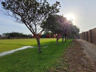Foto 35 de Venta De Terreno En Campiña De Moche - Carr. A Huacas Del Sol Y La Luna / 11,916 M2 / $200 X M2