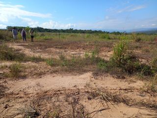 Foto 3 de VENDO PROYECTO URBANO 7.2 HAS 259 LOTES EN YURIMAGUAS