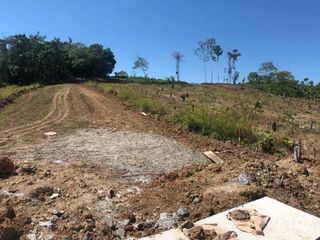 Foto 9 de VENDO PROYECTO URBANO 7.2 HAS 259 LOTES EN YURIMAGUAS