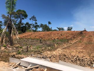 Foto 10 de VENDO PROYECTO URBANO 7.2 HAS 259 LOTES EN YURIMAGUAS