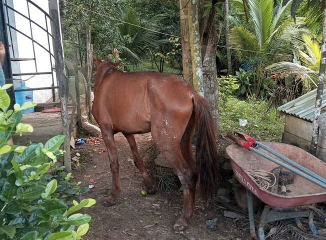 place photo 12