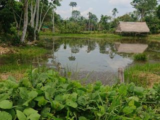 Foto 17 de Ocasión Terreno Iquitos