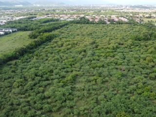 Foto 4 de Vendo Terreno de 12 Hectáreas para Proyecto Urbanístico – Flandes, Tolima