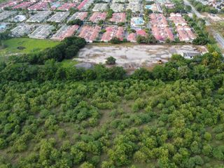 Foto 10 de Vendo Terreno de 12 Hectáreas para Proyecto Urbanístico – Flandes, Tolima