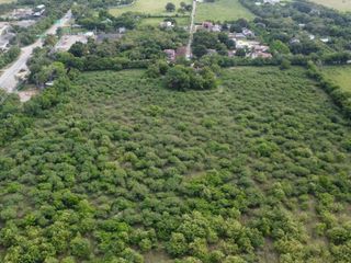 Foto 3 de Vendo Terreno de 12 Hectáreas para Proyecto Urbanístico – Flandes, Tolima