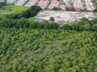 Foto 5 de Vendo Terreno de 12 Hectáreas para Proyecto Urbanístico – Flandes, Tolima