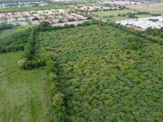 Foto 2 de Vendo Terreno de 12 Hectáreas para Proyecto Urbanístico – Flandes, Tolima