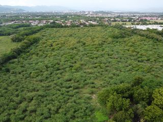 Foto 1 de Vendo Terreno de 12 Hectáreas para Proyecto Urbanístico – Flandes, Tolima