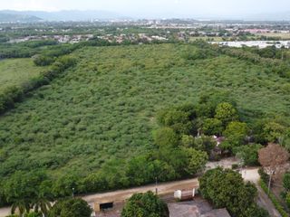 Foto 6 de Vendo Terreno de 12 Hectáreas para Proyecto Urbanístico – Flandes, Tolima
