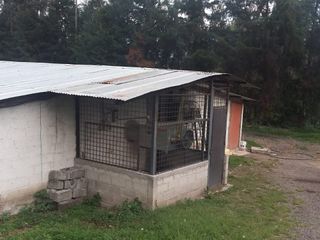 Foto 2 de PARA INVERSIONISTAS TERRENO CON CONSTRUCCIONES IDEAL PARA PRODUCCIÓN AVICOLA