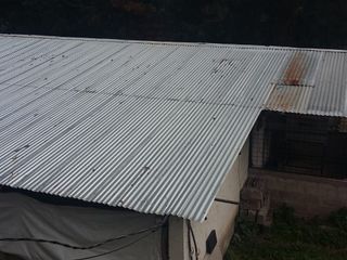 Foto 3 de PARA INVERSIONISTAS TERRENO CON CONSTRUCCIONES IDEAL PARA PRODUCCIÓN AVICOLA