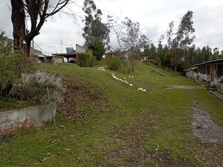 Foto 5 de PARA INVERSIONISTAS TERRENO CON CONSTRUCCIONES IDEAL PARA PRODUCCIÓN AVICOLA