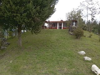 Foto 7 de PARA INVERSIONISTAS TERRENO CON CONSTRUCCIONES IDEAL PARA PRODUCCIÓN AVICOLA