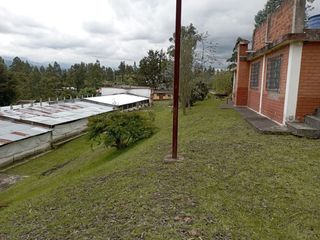 Foto 8 de PARA INVERSIONISTAS TERRENO CON CONSTRUCCIONES IDEAL PARA PRODUCCIÓN AVICOLA