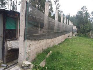 Foto 13 de PARA INVERSIONISTAS TERRENO CON CONSTRUCCIONES IDEAL PARA PRODUCCIÓN AVICOLA