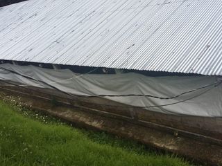 Foto 14 de PARA INVERSIONISTAS TERRENO CON CONSTRUCCIONES IDEAL PARA PRODUCCIÓN AVICOLA