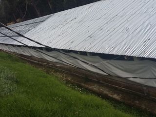 Foto 15 de PARA INVERSIONISTAS TERRENO CON CONSTRUCCIONES IDEAL PARA PRODUCCIÓN AVICOLA