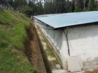 Foto 18 de PARA INVERSIONISTAS TERRENO CON CONSTRUCCIONES IDEAL PARA PRODUCCIÓN AVICOLA
