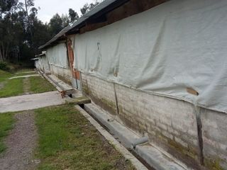 Foto 20 de PARA INVERSIONISTAS TERRENO CON CONSTRUCCIONES IDEAL PARA PRODUCCIÓN AVICOLA