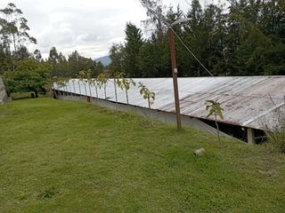 Foto 24 de PARA INVERSIONISTAS TERRENO CON CONSTRUCCIONES IDEAL PARA PRODUCCIÓN AVICOLA