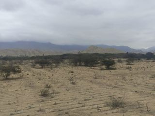 Foto 3 de Venta De Terreno Agricola De 29 Has En Vilcahuaura - Huaura